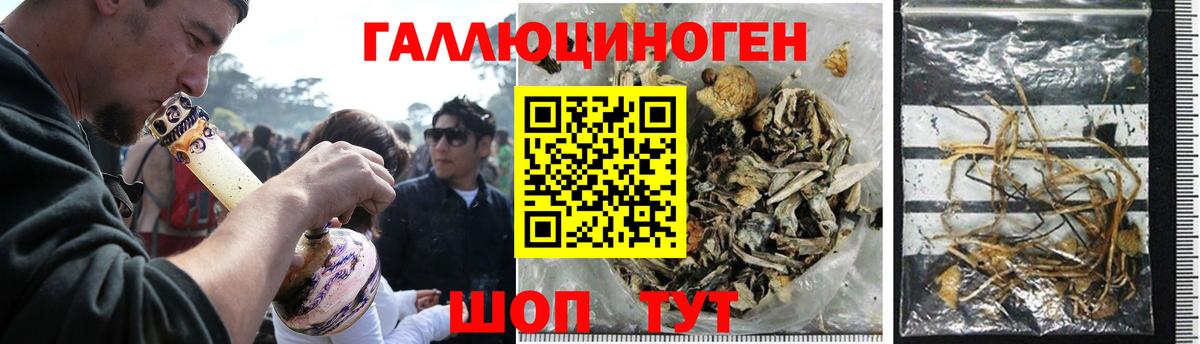 Псилоцибиновые грибы Magic Shrooms Красноярск